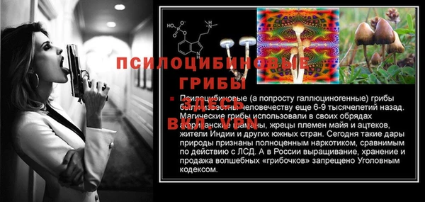 прущий лед Алексеевка