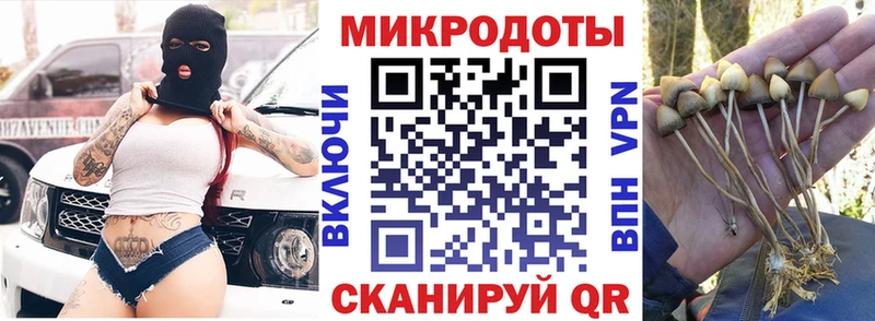 kraken ТОР  Шелехов  Галлюциногенные грибы мухоморы 