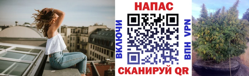 блэк спрут ТОР  Шелехов  Бошки Шишки конопля 